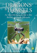 Dragons and Damsels : An identification guide to the British and Irish Odonata-9781908241641