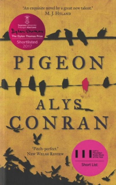 Pigeon-9781910901236