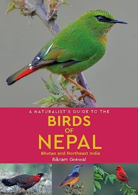 A Naturalist's Guide to the Birds of Nepal-9781912081394