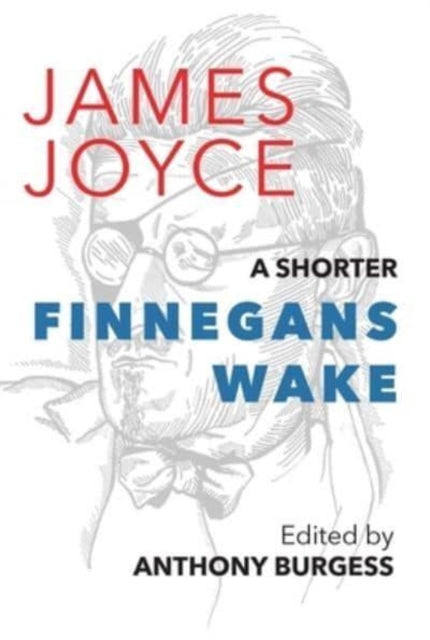 A Shorter Finnegans Wake-9781912916931