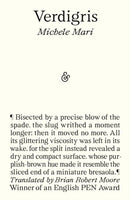Verdigris-9781913505905