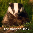 Nature Book Series: The Badger Book-9781913634209
