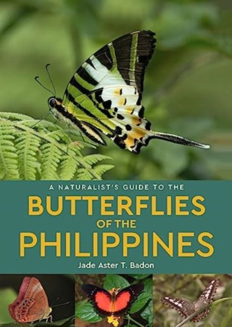A Naturalist's Guide to the Butterflies of the Philippines-9781913679057