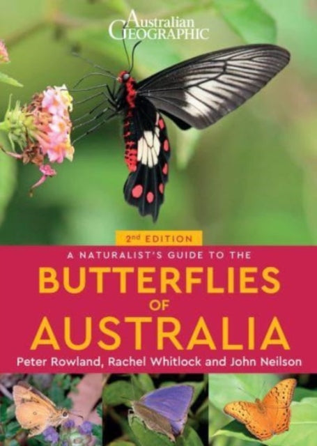A Naturalist's Guide to the Butterflies of Australia (2nd)-9781913679194