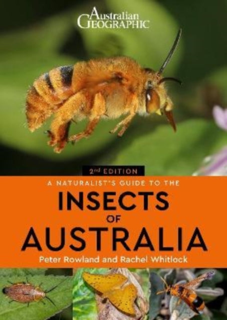 A Naturalist's Guide to the Insects of Australia-9781913679262