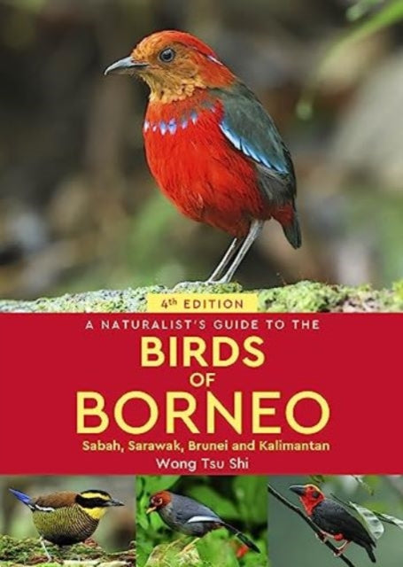 A Naturalist's Guide to the Birds of Borneo : Sabah, Sarawak, Brunei and Kalimantan-9781913679446