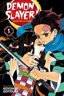 Demon Slayer: Kimetsu no Yaiba, Vol. 1-9781974700523