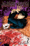 Jujutsu Kaisen, Vol. 2-9781974710034