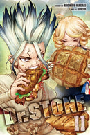 Dr. STONE, Vol. 11-9781974714797