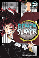 Demon Slayer: Kimetsu no Yaiba, Vol. 20-9781974720972