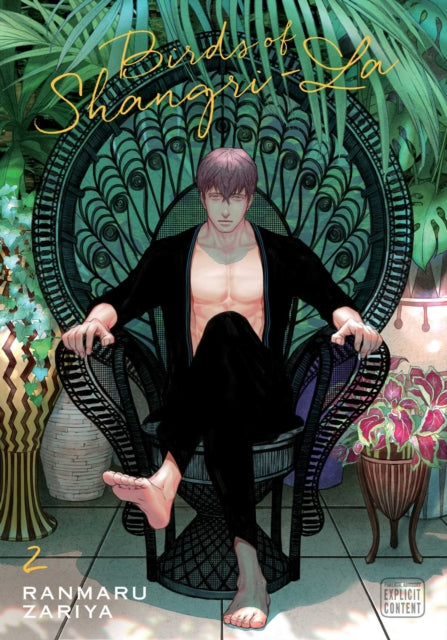 Birds of Shangri-La, Vol. 2-9781974723683