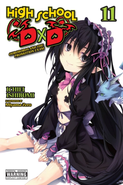 High School DxD, Vol. 11 (light novel)-9781975348168