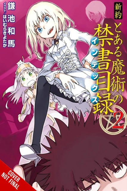 A Certain Magical Index NT, Vol. 2 (light novel)-9781975388355
