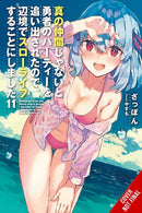 Banished from the Hero's Party, I Decided to Live a Quiet Life in the Countryside, Vol. 11 (light novel)-9781975393427
