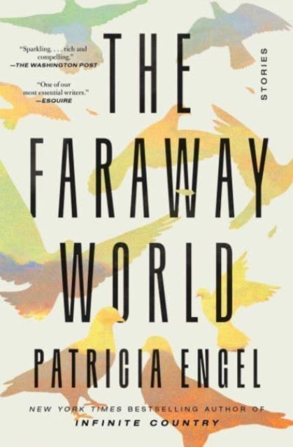 The Faraway World : Stories-9781982159535