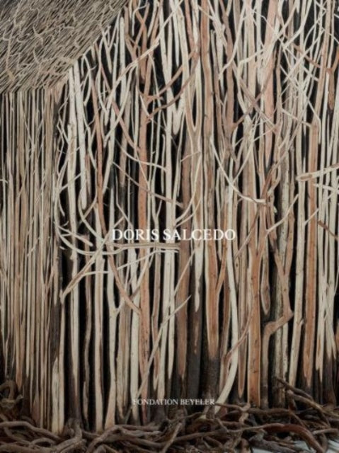 Doris Salcedo-9783775754934