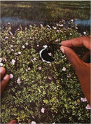 RE/SISTERS : A Lens on Gender and Ecology-9783791379722