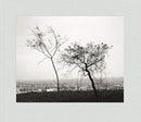 Robert Adams: Los Angeles Spring-9783958296824