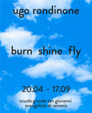 Ugo Rondinone (Bilingual edition) : burn shine fly-9788857247946